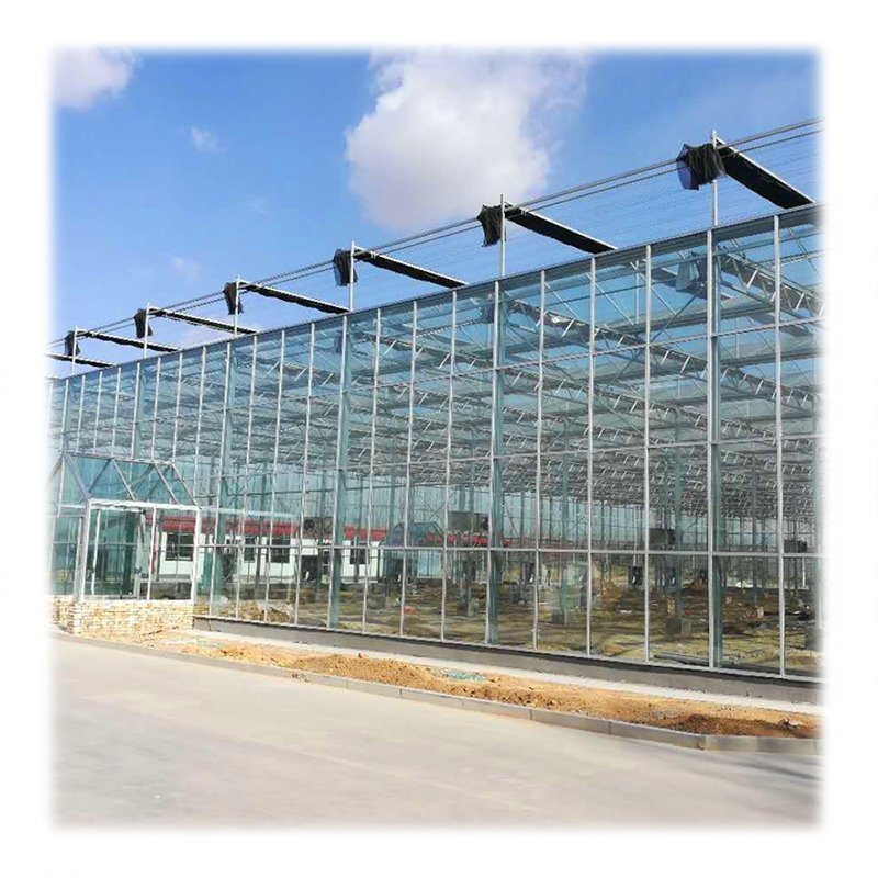 High Efficient Venlo Tempered Glass Greenhouse