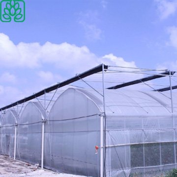 Cheap Poly tunnel Agricultural Greenhouse Supplies