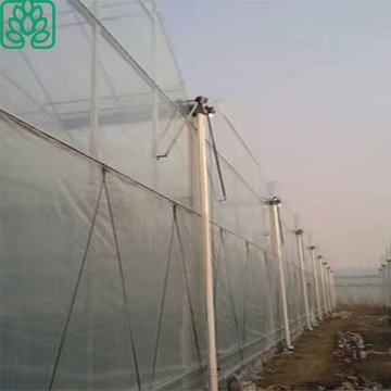 Cheap Poly tunnel Agricultural Greenhouse Supplies