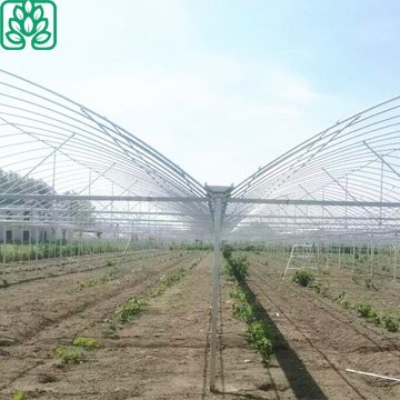 Cheap Poly tunnel Agricultural Greenhouse Supplies