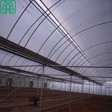 Cheap Poly tunnel Agricultural Greenhouse Supplies