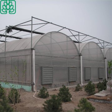 Cheap Poly tunnel Agricultural Greenhouse Supplies