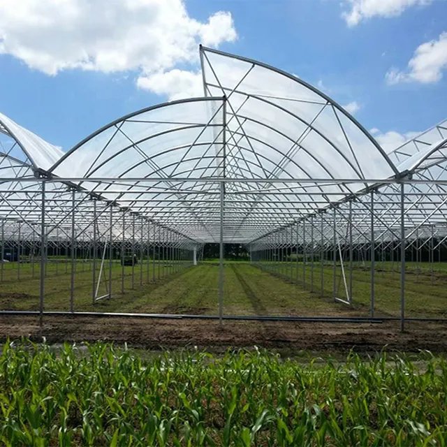 China Factory Hot Sale Hot galvanized steel pipe sawtooth greenhouse Multi-span Greenhouse frame structure for Agriculture