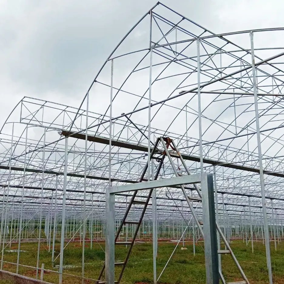 China Factory Hot Sale Hot galvanized steel pipe sawtooth greenhouse Multi-span Greenhouse frame structure for Agriculture