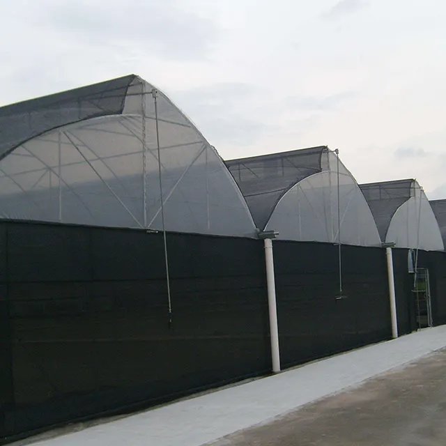 China Factory Hot Sale Hot galvanized steel pipe sawtooth greenhouse Multi-span Greenhouse frame structure for Agriculture
