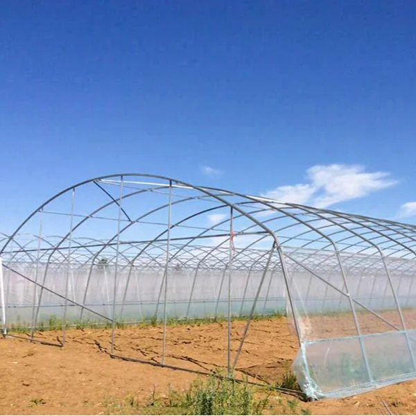 Large Commercial Green Houses Agriculture Greenhouse