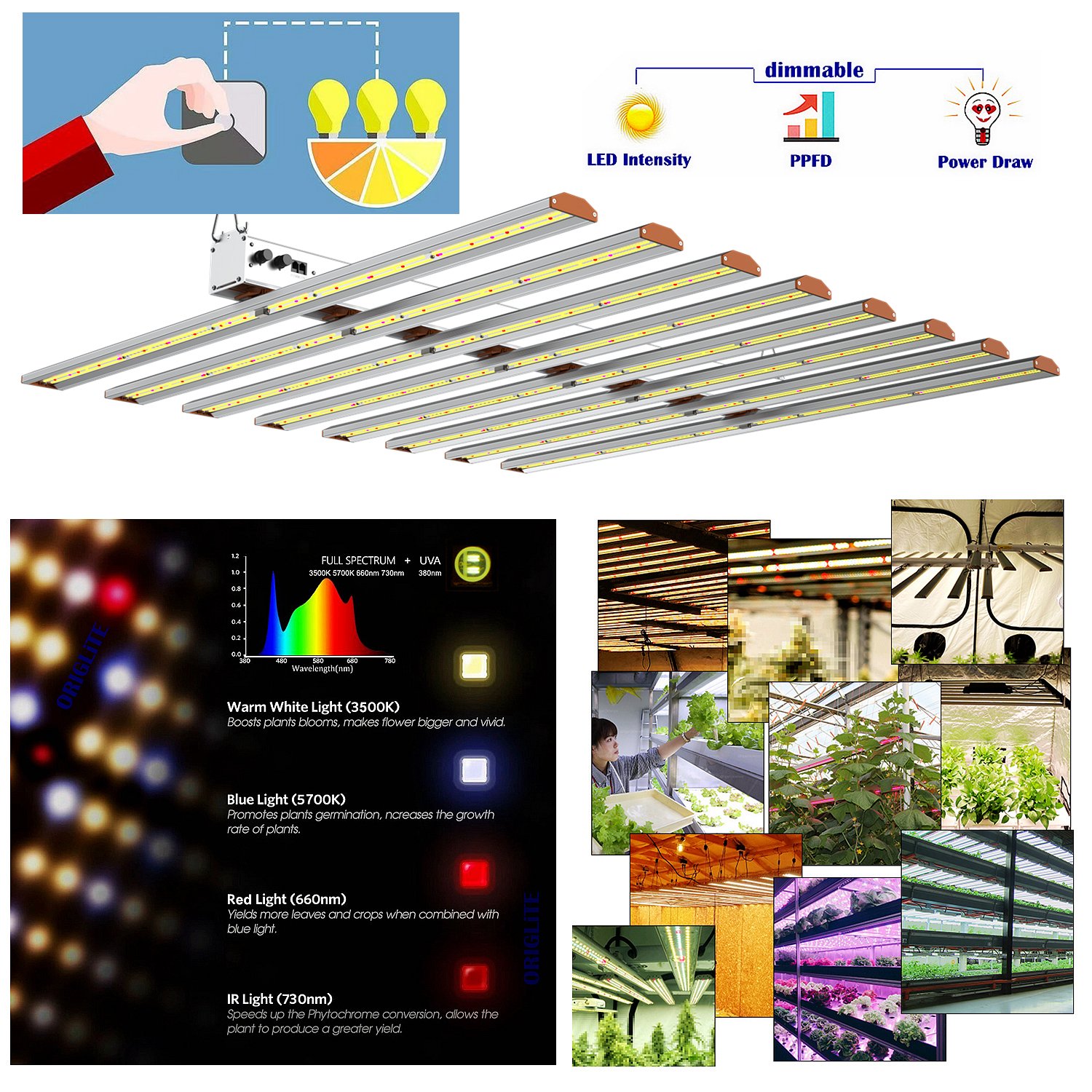 China-Branded Agricultural Greenhouse kit 7-in-1 Systematic Grow Kit 3.0μmol/J 1000W Grow Light agricultural tent kit