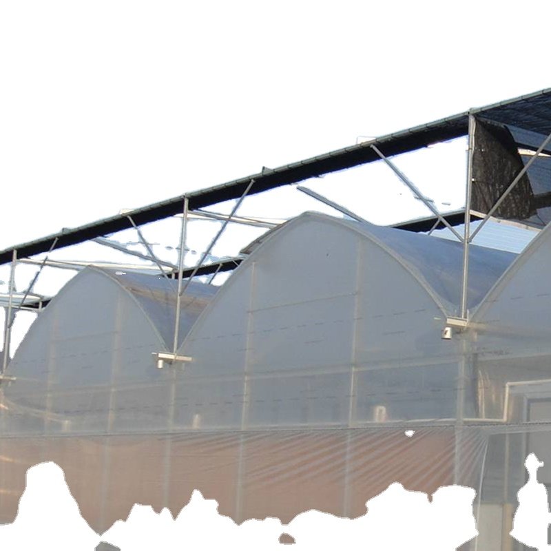 Po Film Green House Metal Frame Tunnel Type Single Span Agricultural Greenhouse For Tomatoes Planting Agriculture