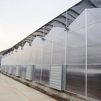 Po Film Green House Metal Frame Tunnel Type Single Span Agricultural Greenhouse For Tomatoes Planting Agriculture