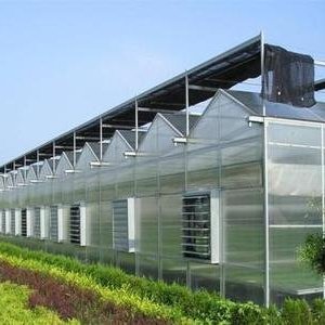 Po Film Green House Metal Frame Tunnel Type Single Span Agricultural Greenhouse For Tomatoes Planting Agriculture
