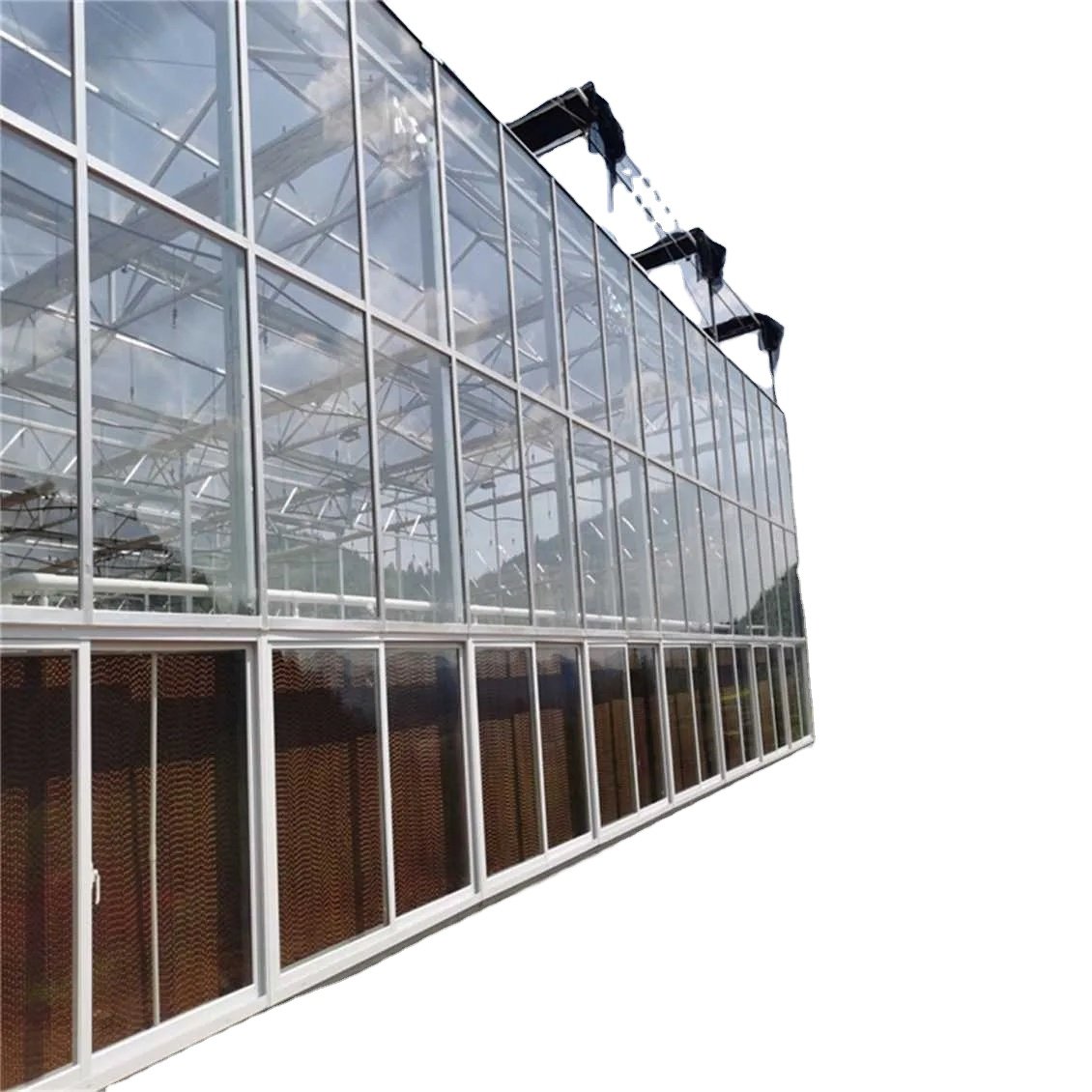 Po Film Green House Metal Frame Tunnel Type Single Span Agricultural Greenhouse For Tomatoes Planting Agriculture