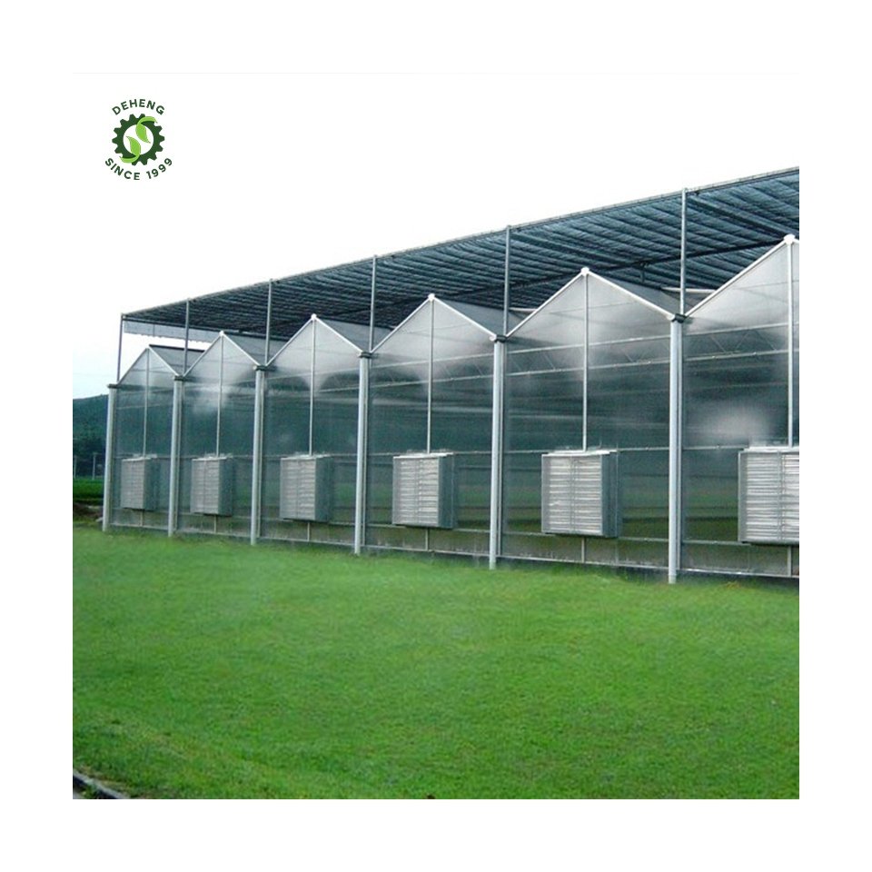 Factory Sale Various Modern Agricultural Greenhouse Multi-Span Planting Agricultural Crops Solar Power Greenhouse Panel Glass