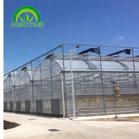 strong sawtooth greenhouse agriculture tropical green house agrotime tomato other greenhouse large small cheap little greenhouse