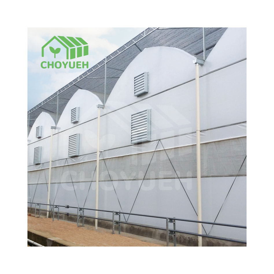 CHOYUEH Wind resistance Multi-span Plastic film tunnel greenhouse with ventilation system