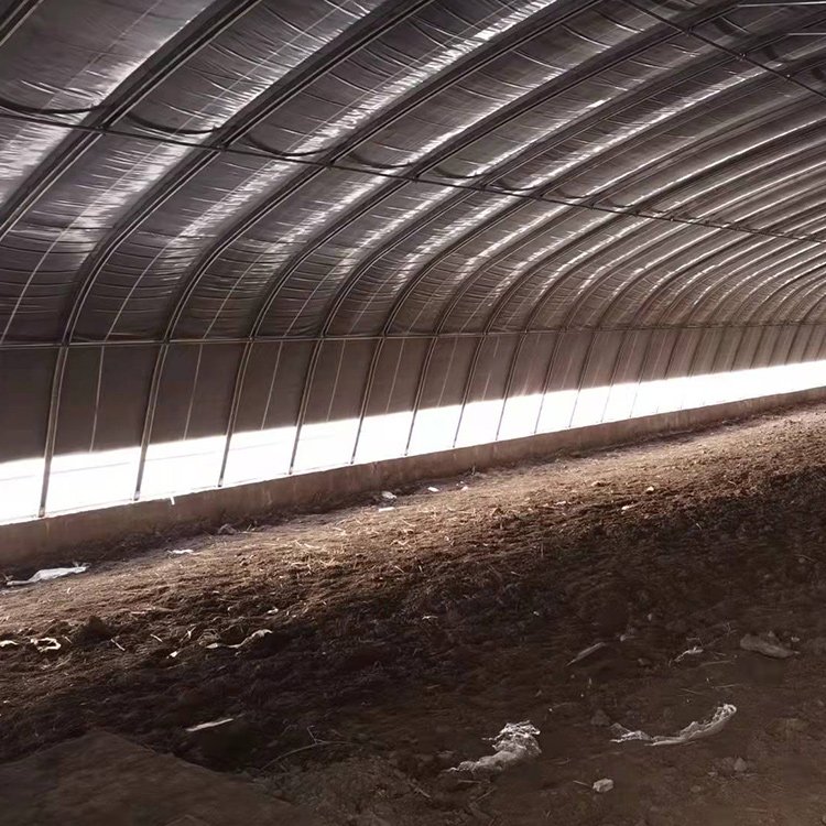 Insulated Cold Area Green House Agriculture Commercial Winter Passive Solar Greenhouse