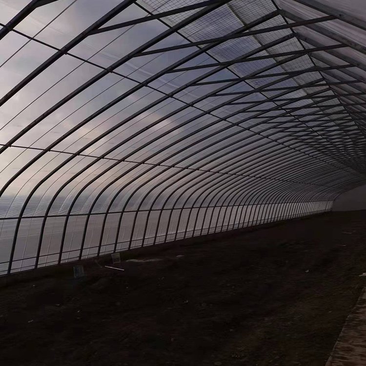 Insulated Cold Area Green House Agriculture Commercial Winter Passive Solar Greenhouse