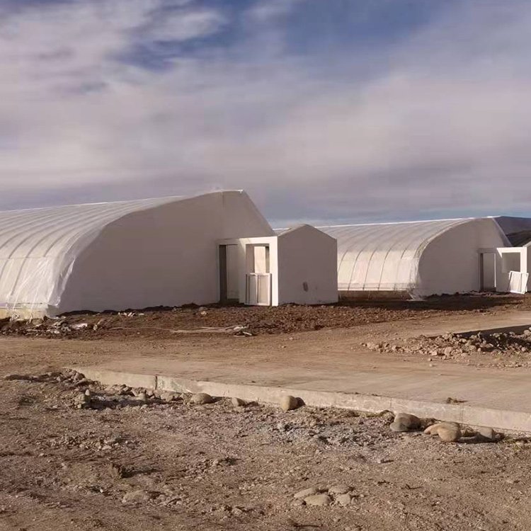 Insulated Cold Area Green House Agriculture Commercial Winter Passive Solar Greenhouse