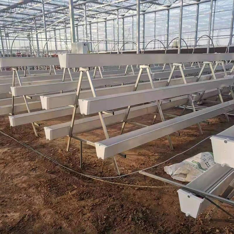 Agricultural Vertical Farming Strawberry Hydroponics Growing System