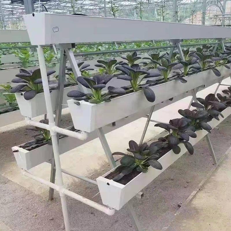 Agricultural Vertical Farming Strawberry Hydroponics Growing System