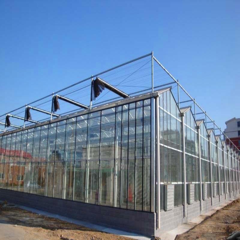 Turnkey Project Agricultural Glass Greenhouse for Tomato Growing