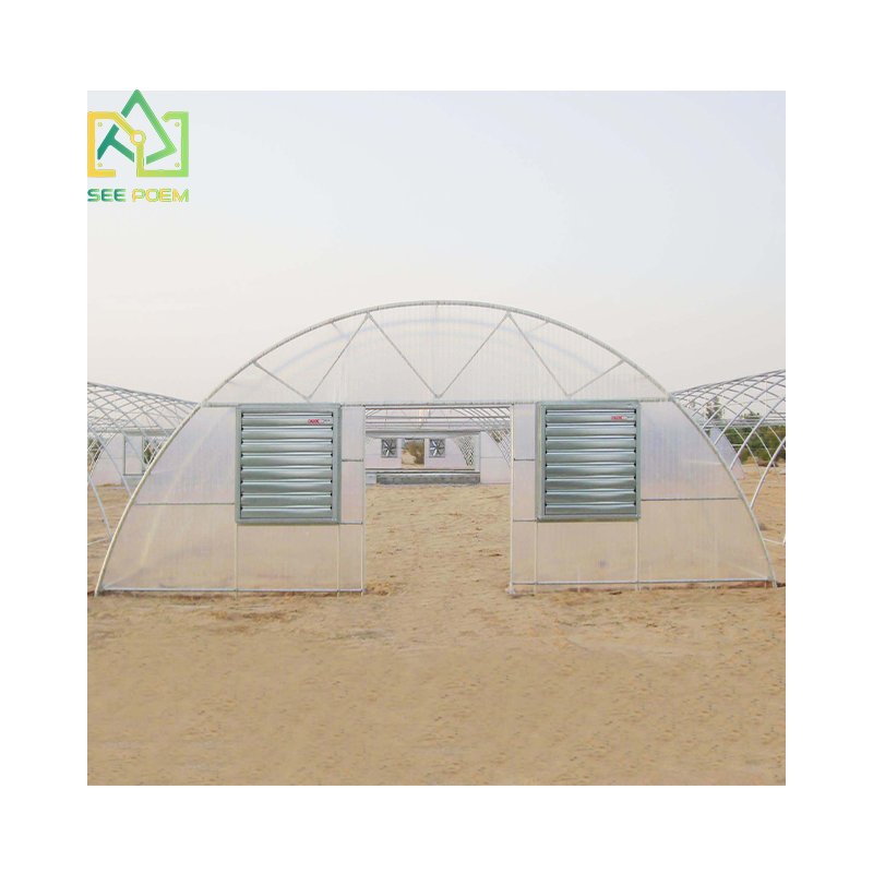 Industrial Polycarbonate sheet greenhouses Prefab agricultural greenhouses