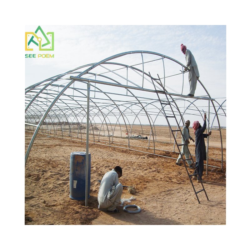 Industrial Polycarbonate sheet greenhouses Prefab agricultural greenhouses