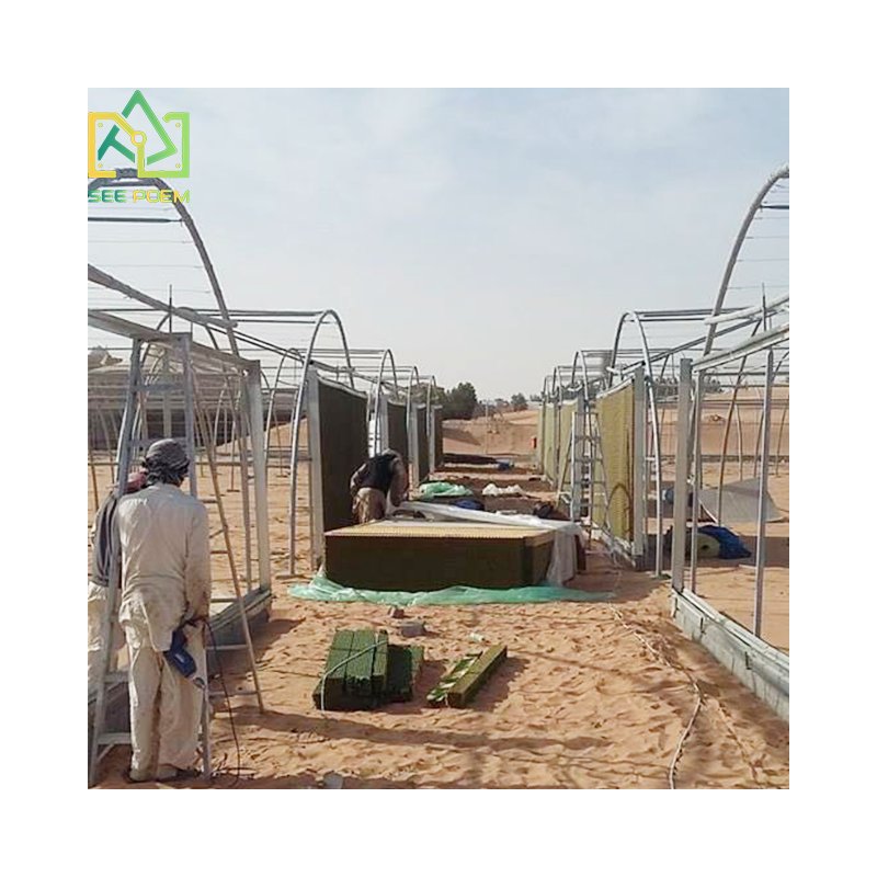 Industrial Polycarbonate sheet greenhouses Prefab agricultural greenhouses