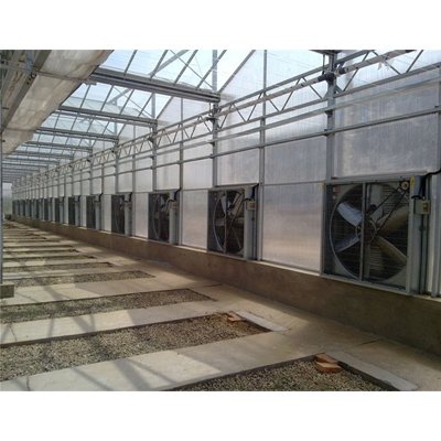 Industrial Large Exhaust Fan with Motor for Greenhouse Agriculture Hot Dip Galvanized Hammer Ventilation Way