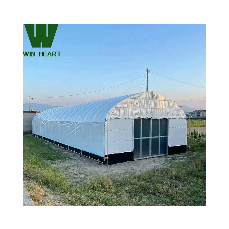 Plastic Vegetables Grow Basket Hydroponics System greenhouse
