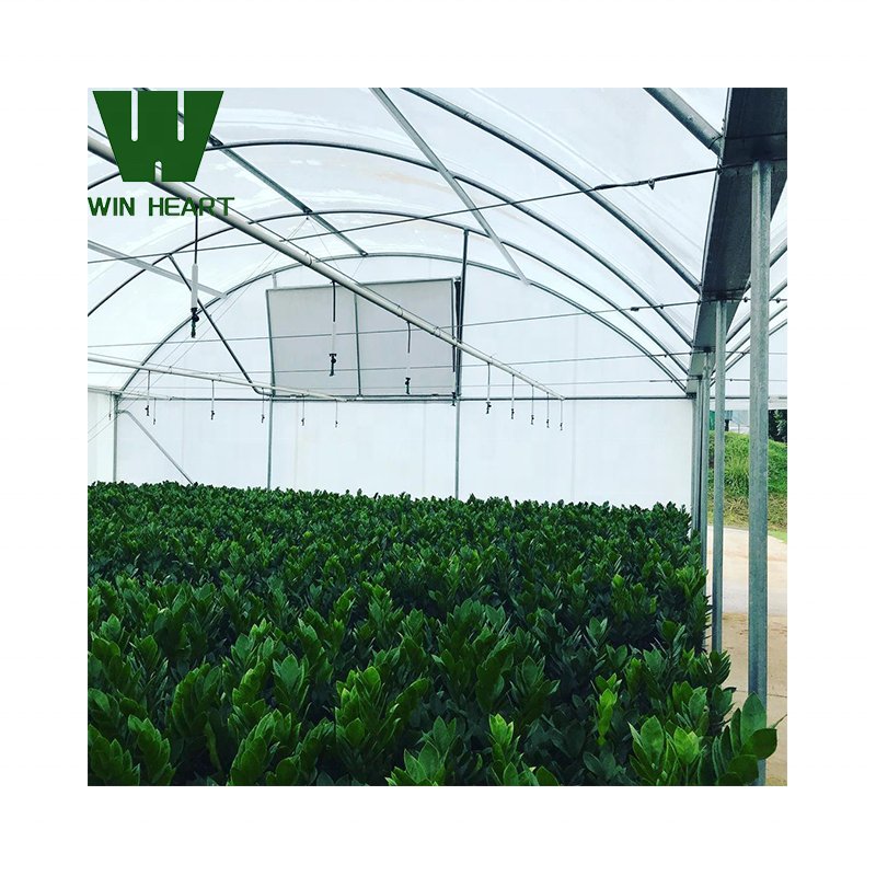 Plastic Vegetables Grow Basket Hydroponics System greenhouse