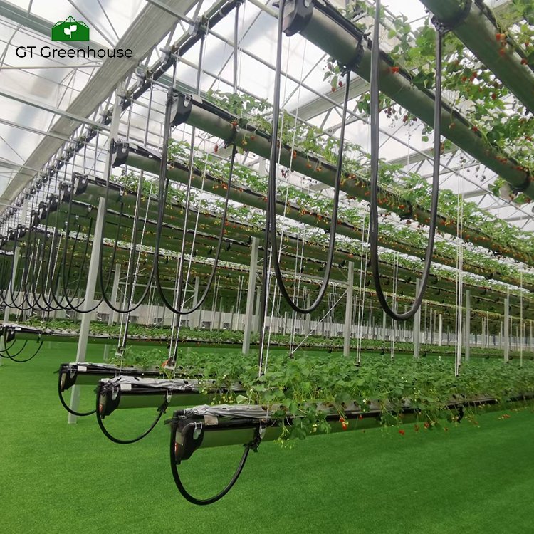 GT Agricultural Greenhouse Indoor Growing System Grow Tower Vertical Hydroponic Lettuce Greenhouse