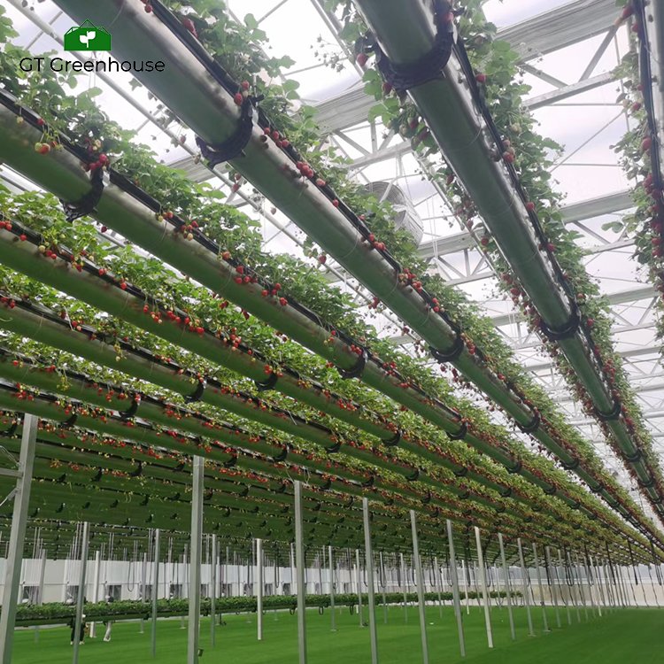 GT Agricultural Greenhouse Indoor Growing System Grow Tower Vertical Hydroponic Lettuce Greenhouse