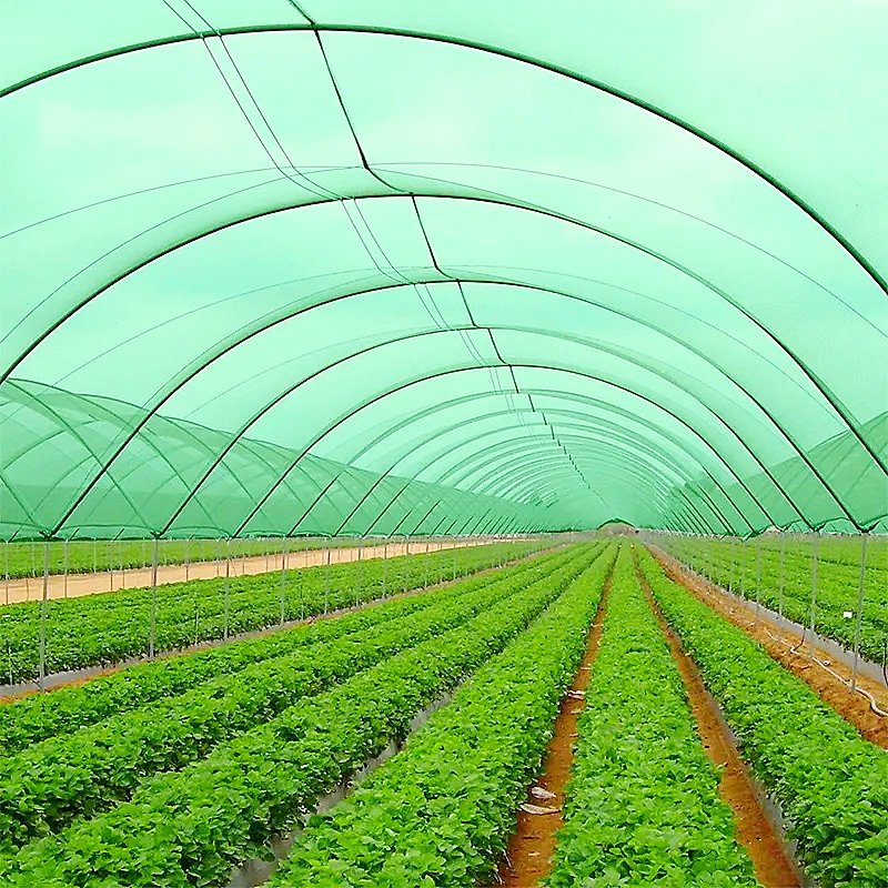 Greenhouse Anti UV Sun Shade Netting Cloth For Agricultural Greenhouse Net