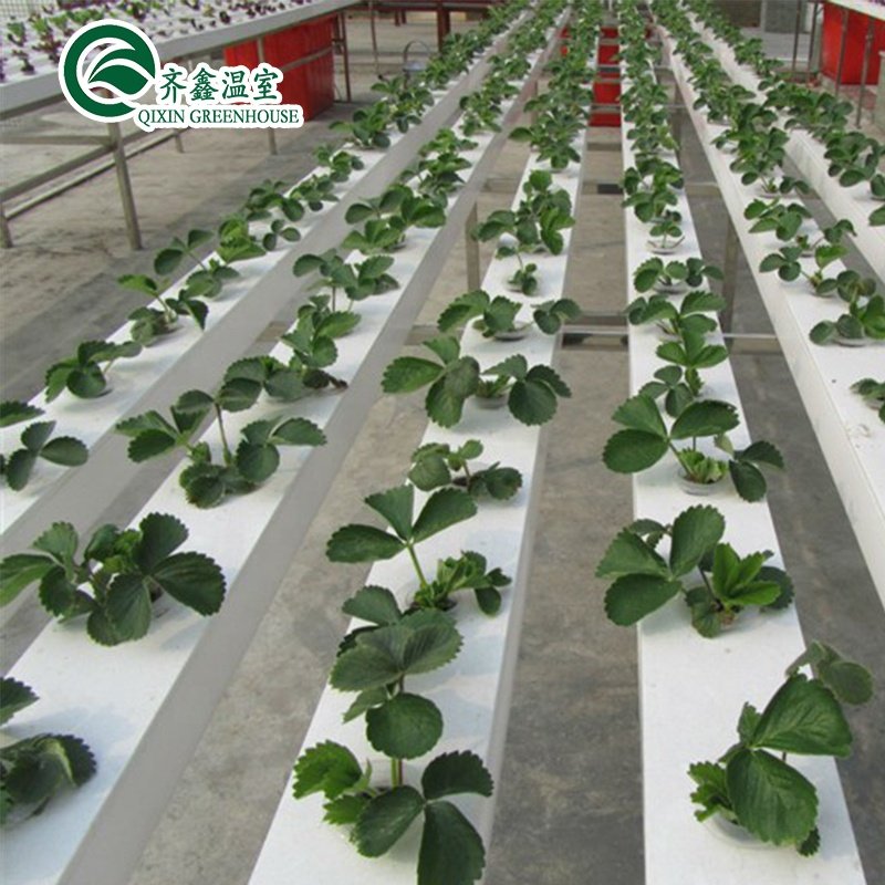 plastic pipe used in potato greenhouse