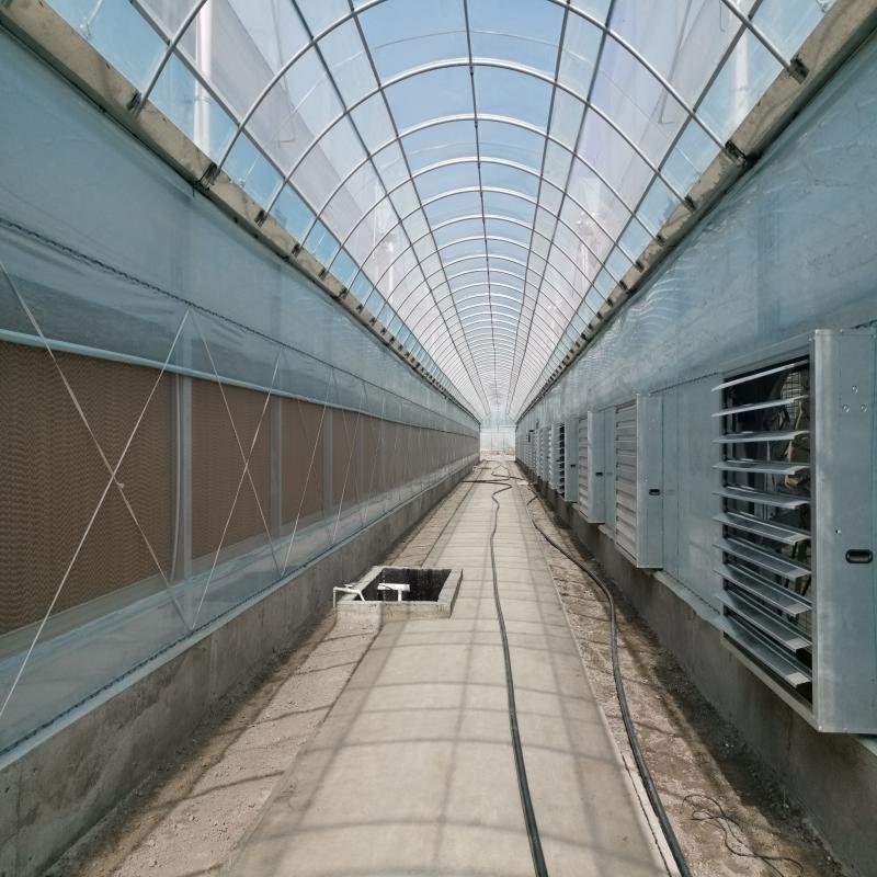 Multi-span Agricultural Green house Plastic Film Greenhouse For Farming