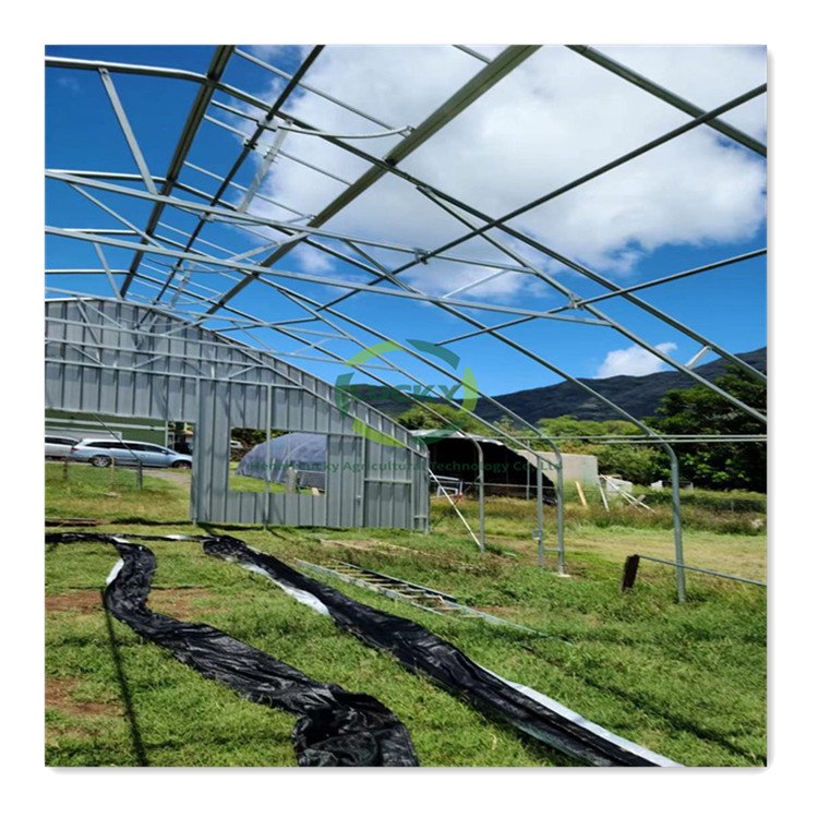 Agriculture Equipment 10m*100m Hydroponic Container Light Deprivation Blackout Film Multi Span Greenhouses