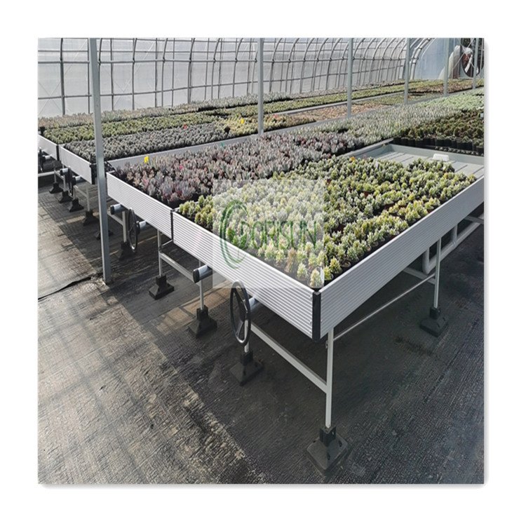 Rolling Tables Grow 4x8 5x5 Rolling Flood Tables Grow Trays Bench For Greenhouse Hydroponics Ebb And Flow System
