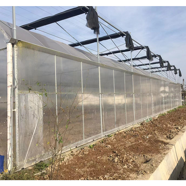 Automated Fully Blackout Light Deprivation Agricultural Galvanized Steel Customized Mushroom Tunnel Greenhouse For Sale