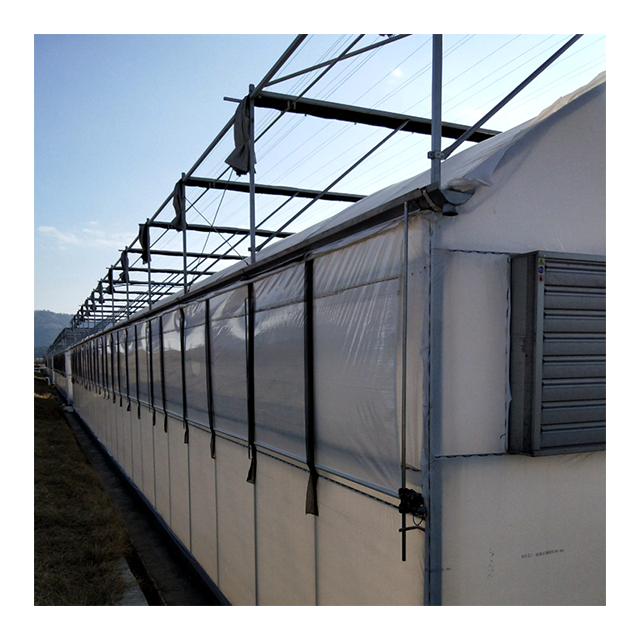 Automated Fully Blackout Light Deprivation Agricultural Galvanized Steel Customized Mushroom Tunnel Greenhouse For Sale