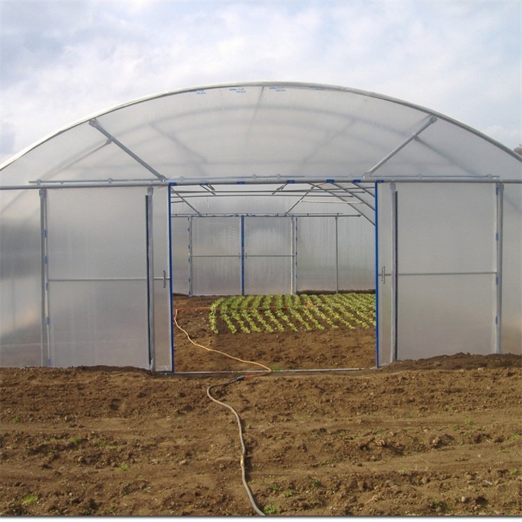 Vegetables Growing Hoop House Side Ventilation Single Span Agricultural Greenhouse For Plants