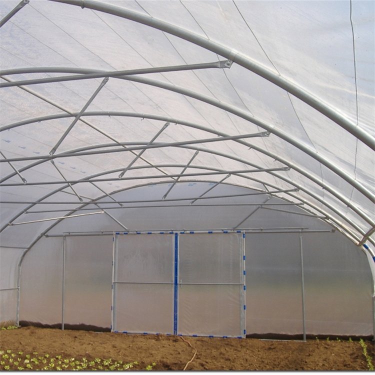 Vegetables Growing Hoop House Side Ventilation Single Span Agricultural Greenhouse For Plants