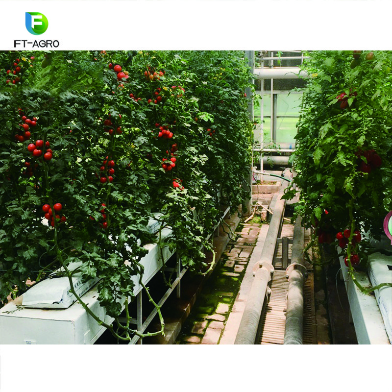 2024 new model Vertical Hydroponic Grow Systems