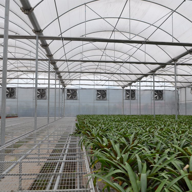 Good Quality And Easily Installed Agricultural/Commercial Green House Greenhouse
