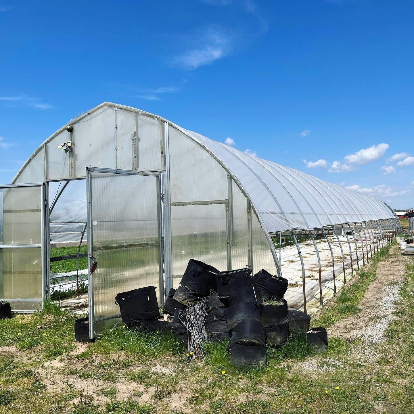 CHOYUEH Low cost tunnel film greenhouse for growing strawberry
