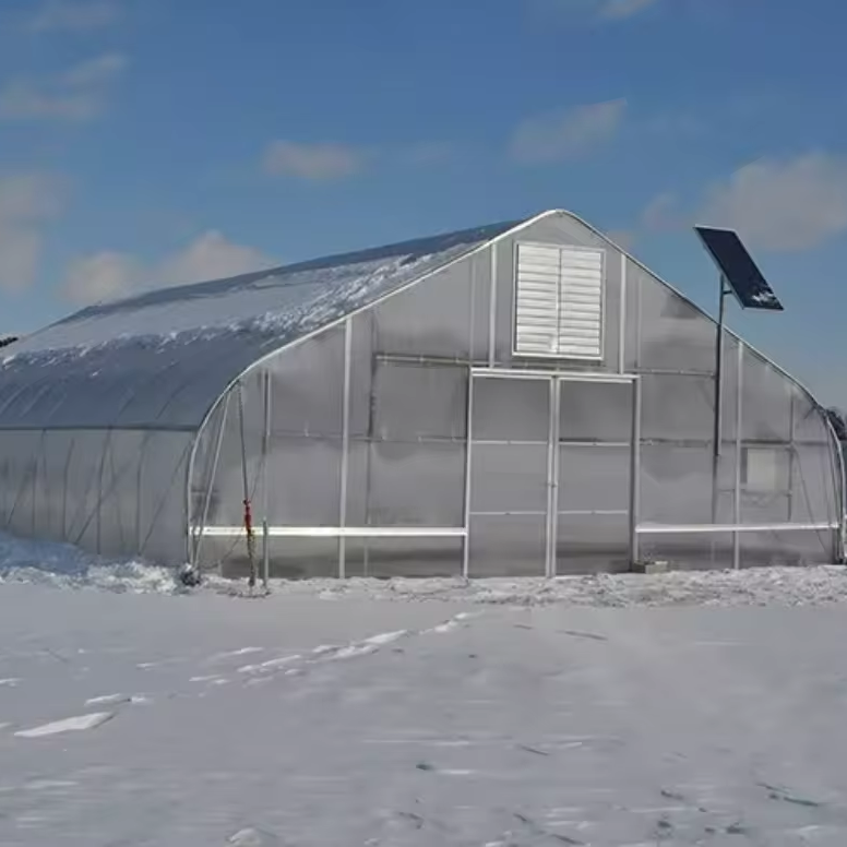 CHOYUEH Low cost tunnel film greenhouse for growing strawberry