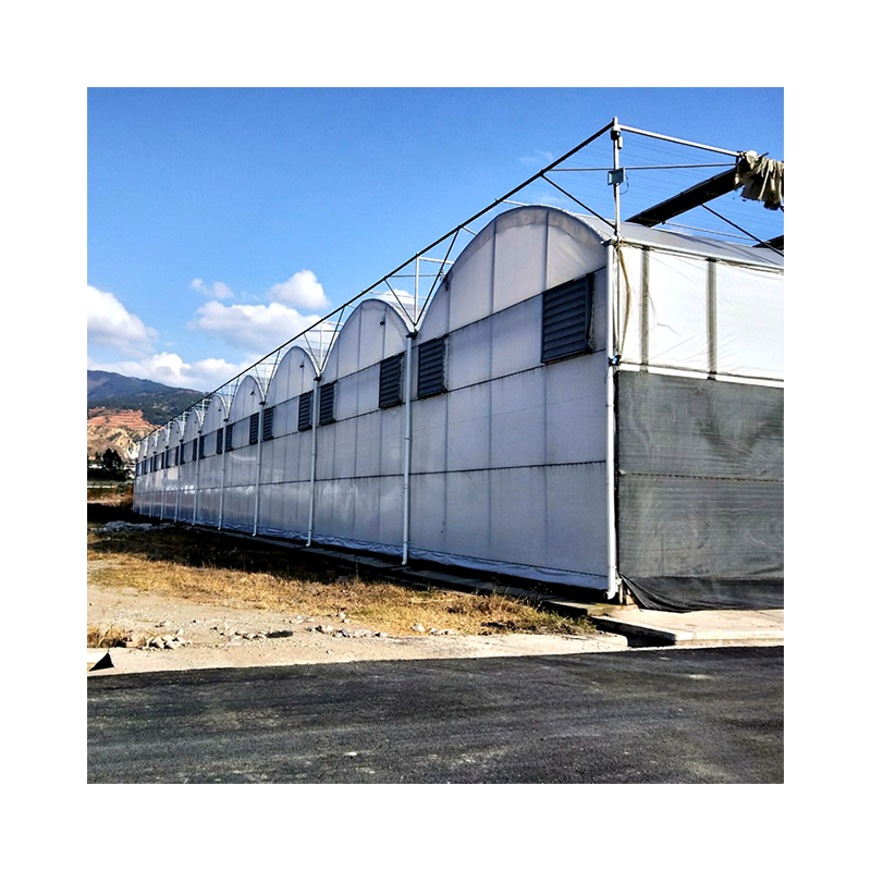 Single-span Low Tunnel Plastic Film UV Resistant Agricultural Polyhouse Seeding Greenhouse For Tomato Growing