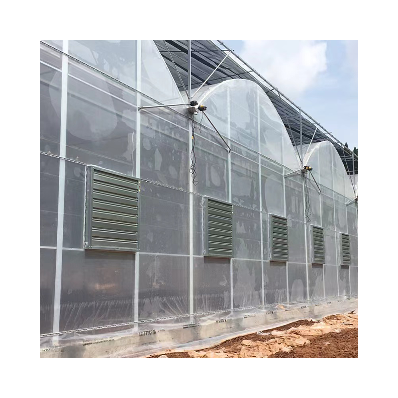 Single-span Low Tunnel Plastic Film UV Resistant Agricultural Polyhouse Seeding Greenhouse For Tomato Growing