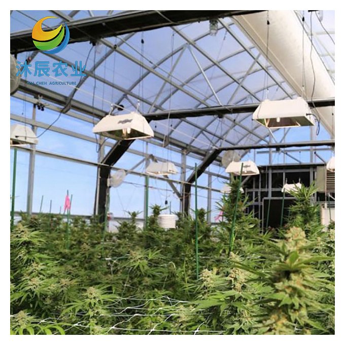 Tunnel Automatic Blackout Plastic Film Greenhouse Light Deprivation Greenhouses For Planting Vegetable