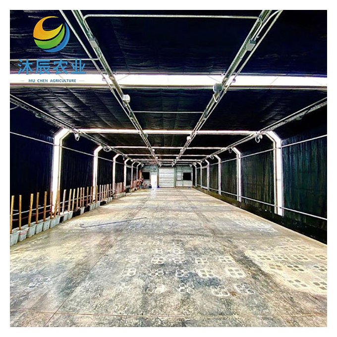 Tunnel Automatic Blackout Plastic Film Greenhouse Light Deprivation Greenhouses For Planting Vegetable