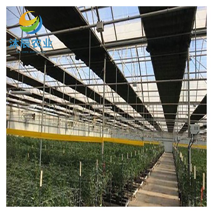 Tunnel Automatic Blackout Plastic Film Greenhouse Light Deprivation Greenhouses For Planting Vegetable
